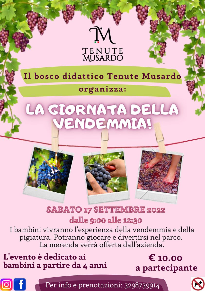VENDEMMIA 2022